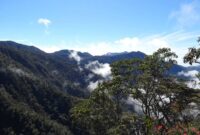 View from camp 3, 2400m, while climbing Mount Bandahara (Mykhailo Pavliuk, January, 2013)