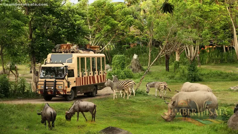 Bali Safari and Marine Park