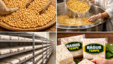 Bagus Tempe Produksi