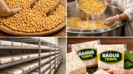 Bagus Tempe Produksi