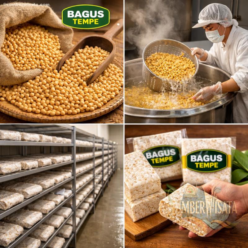 Bagus Tempe Produksi